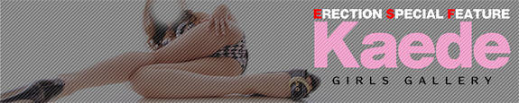 �R�`�f���w��ERECTION(�G���N�V����)�R�X�`���[��